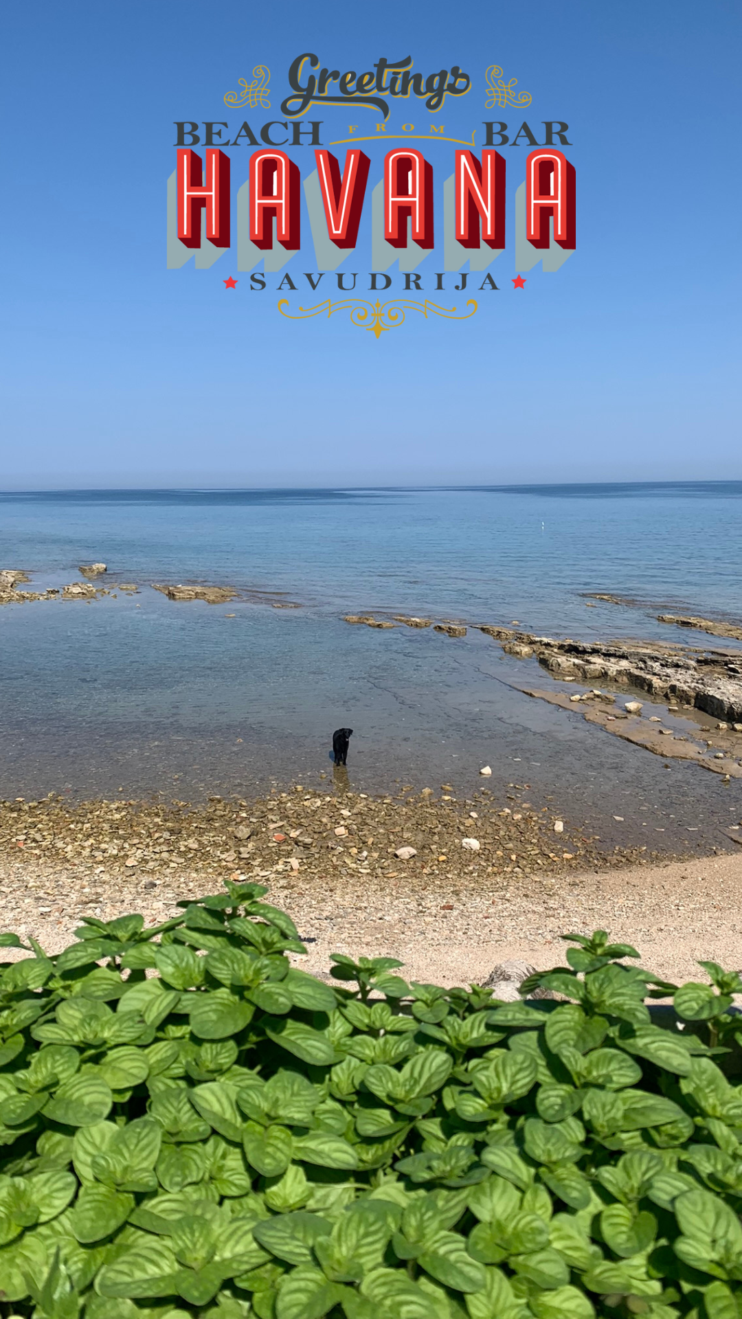 Beach Bar Havana kokteli aperitif cocktails