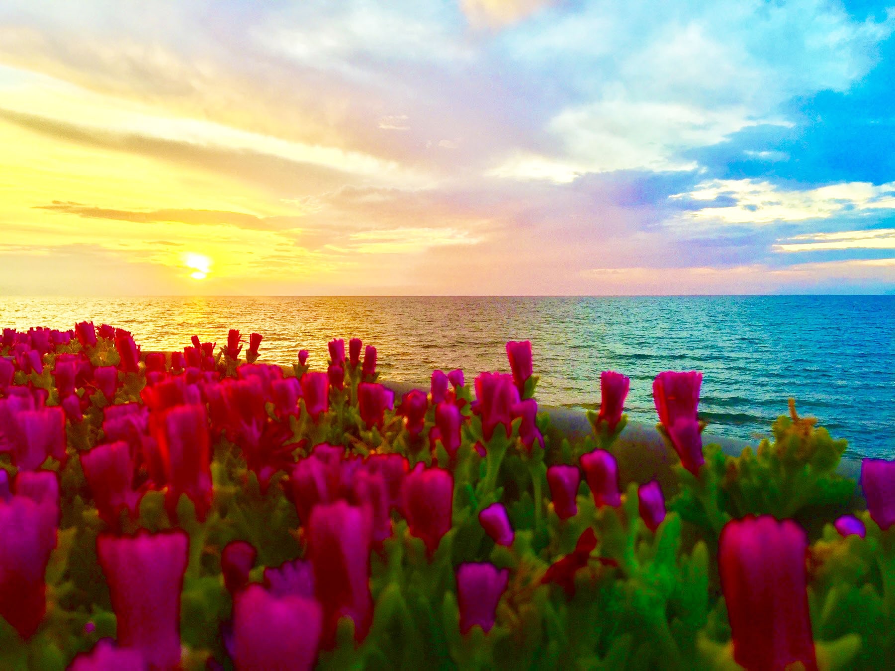 Beach Bar Havana the view pogled sunset zalazak sunca